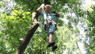 treetree seilbrücke