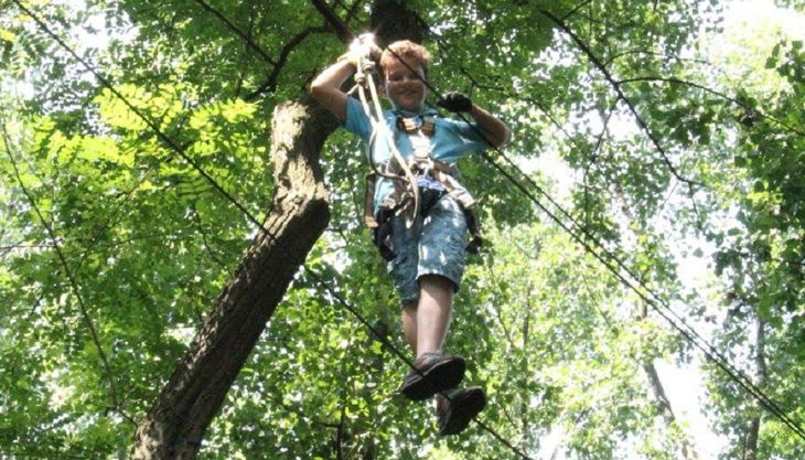 treetree seilbrücke