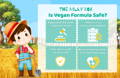 Is Organic Vegan Baby Formula Safe and Complete?