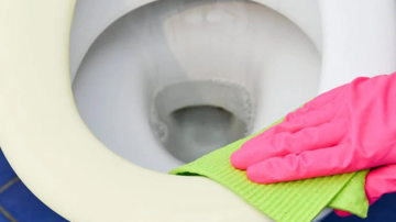 Main Content Image