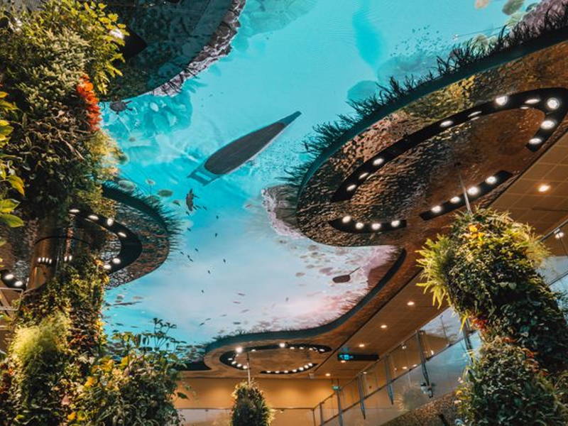 Image may contain: Pool, Water, Swimming Pool, Outdoors, Architecture, Building, Hotel, Resort, Nature, and Sea