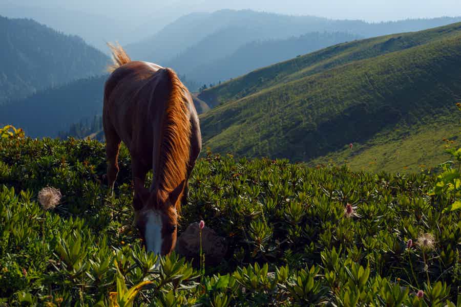Kazbek - Ananuri - photo 2