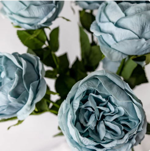 Duck Egg Blue David Austin Soft Touch Open Bloom Rose - Realistic Artificial Flowers