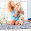 Cama de perro