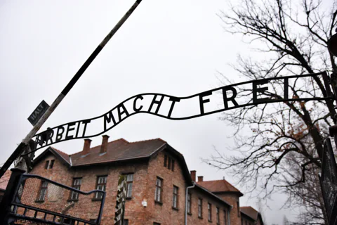 Krakow to Auschwitz Birkenau Guided Tour with Transfer and Ticket
