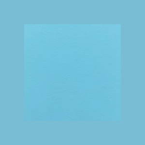 Baby Blue Leather