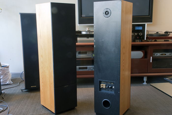Snell Type D Floorstanding Speakers