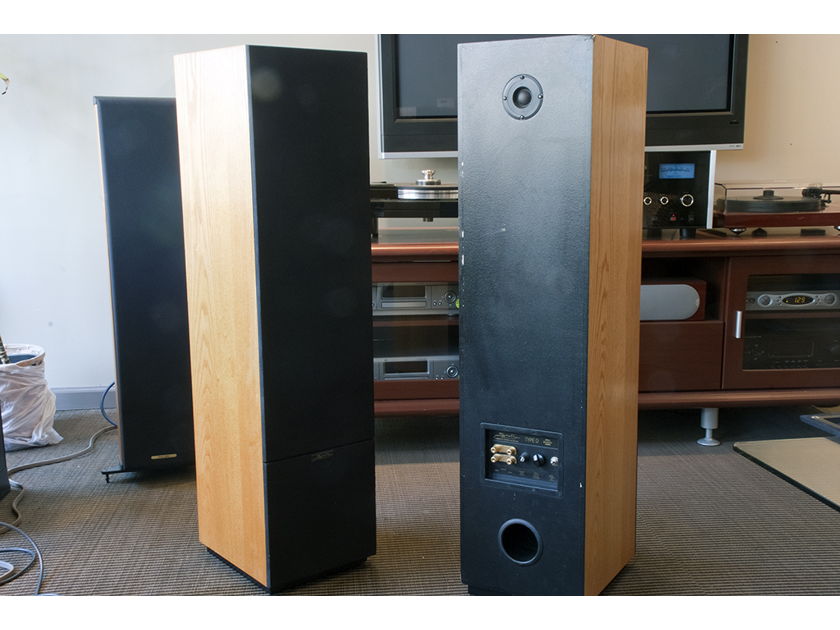 Snell Type D Floorstanding Speakers