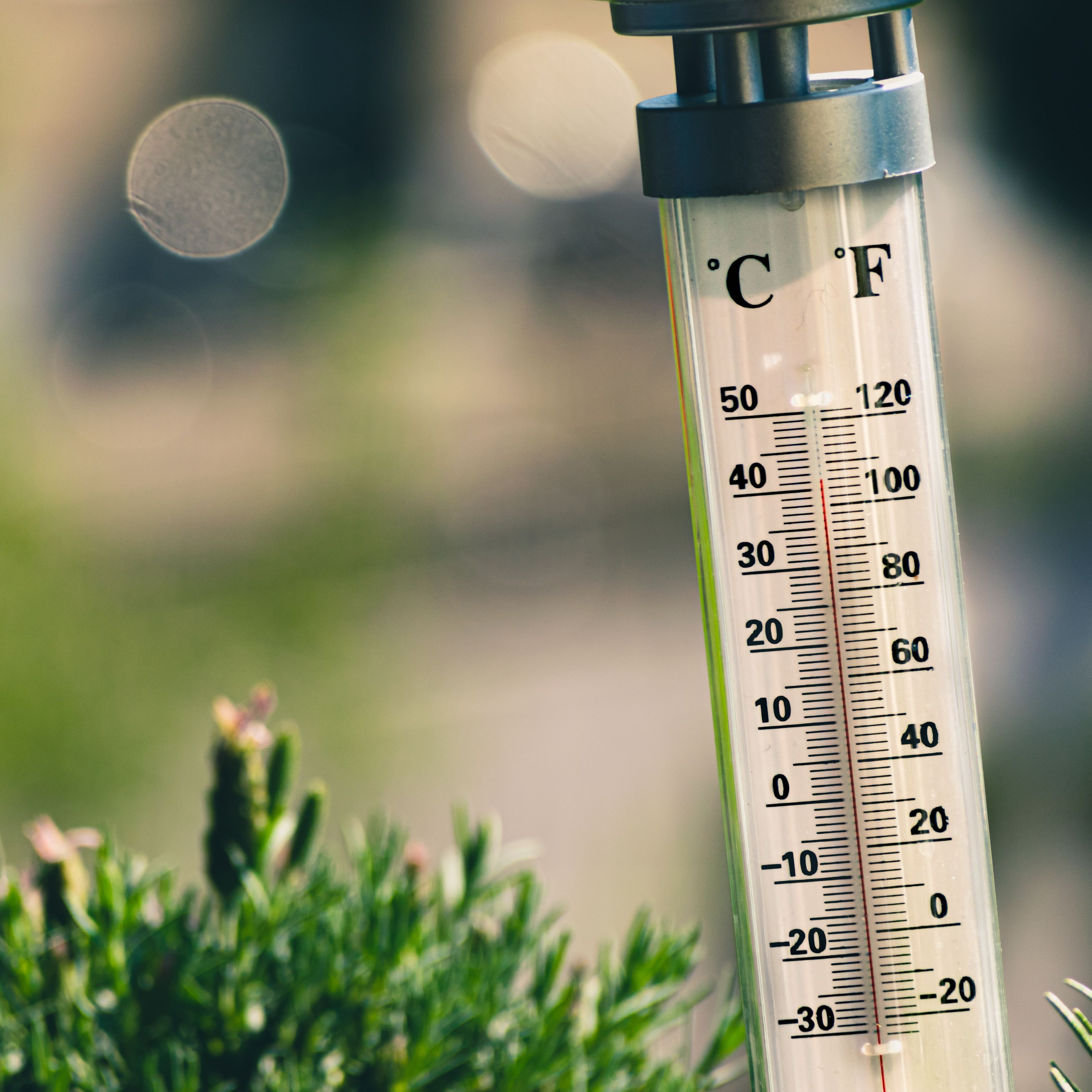Thermometer