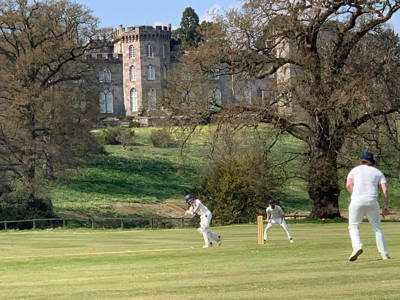 Cholmondely Cricket Club Cricket Club Logo