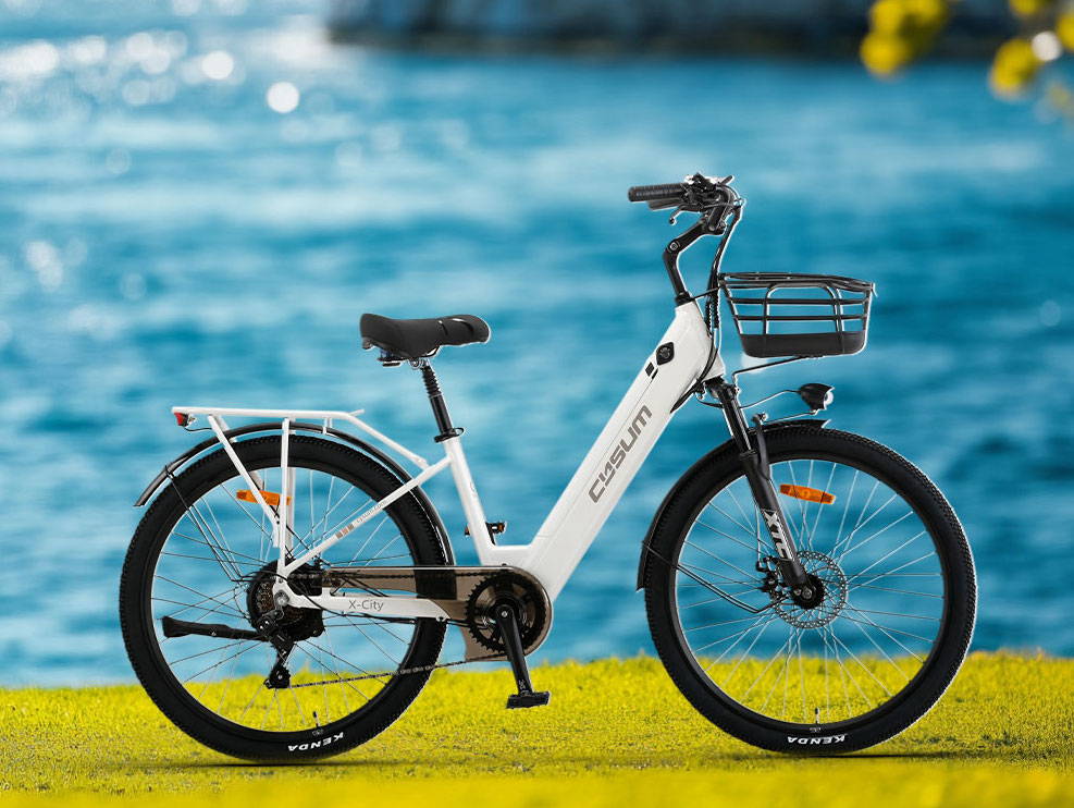 Cysum X-City Electric Bike - 48V 250W Motor, 45Nm Torque