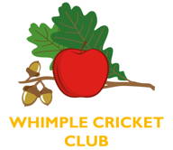 Whimple Cricket Club
