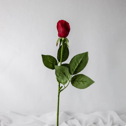 Red Real Touch Bud- Realistic Artificial Flowers - Image 4