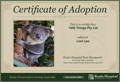 Adopt a Koala - Supported by 1000 Things Australia