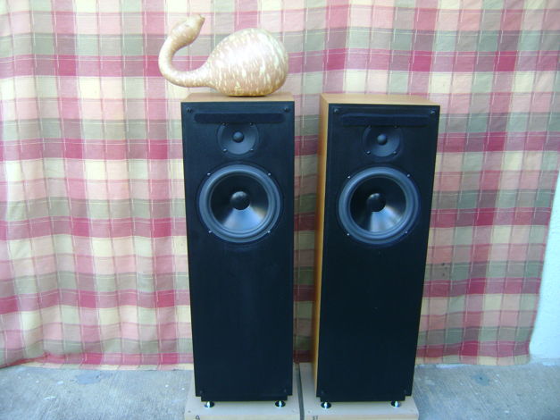 Snell Acoustics  Type J/IV Floorstanding Speakers