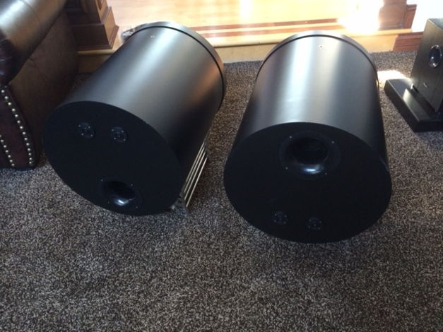 Scaena Loudspeakers Subwoofer pair The best subs system...