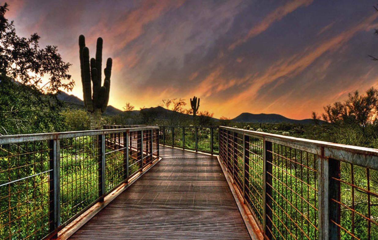 McDowell Sonoran Preserve