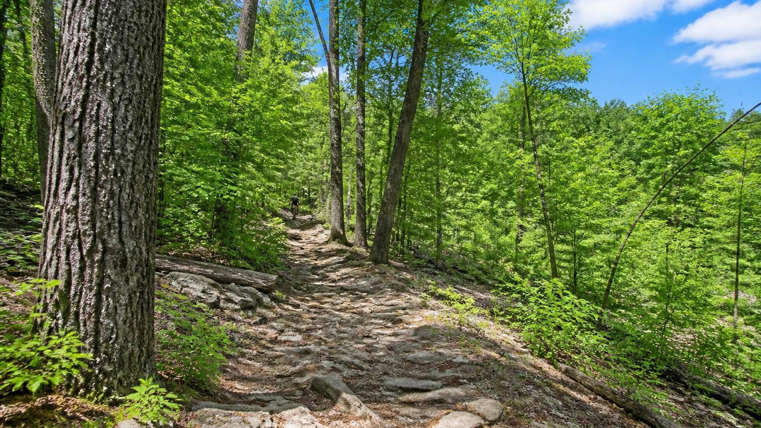 Slideshow image