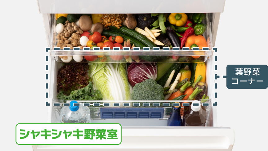 シャキシャキ野菜室