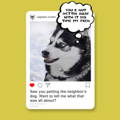 Dog Instagram caption - angry dog