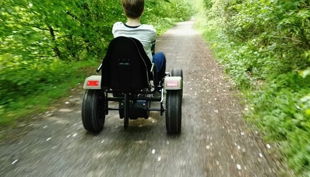 gokart spaß gokart fahren im wald
