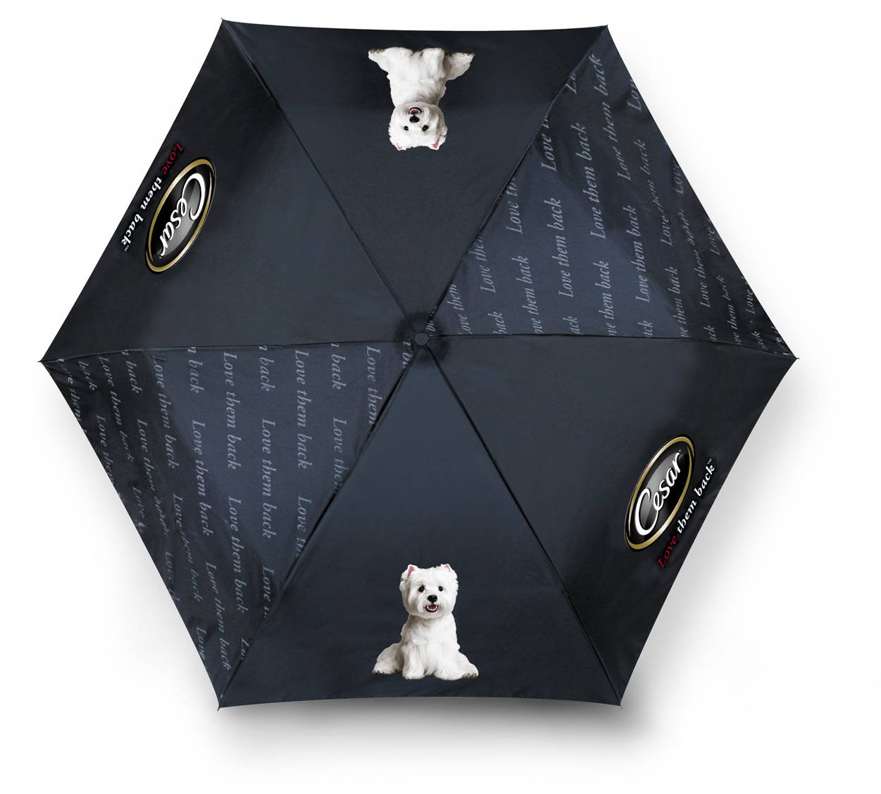 Cesar Foldable Umbrella