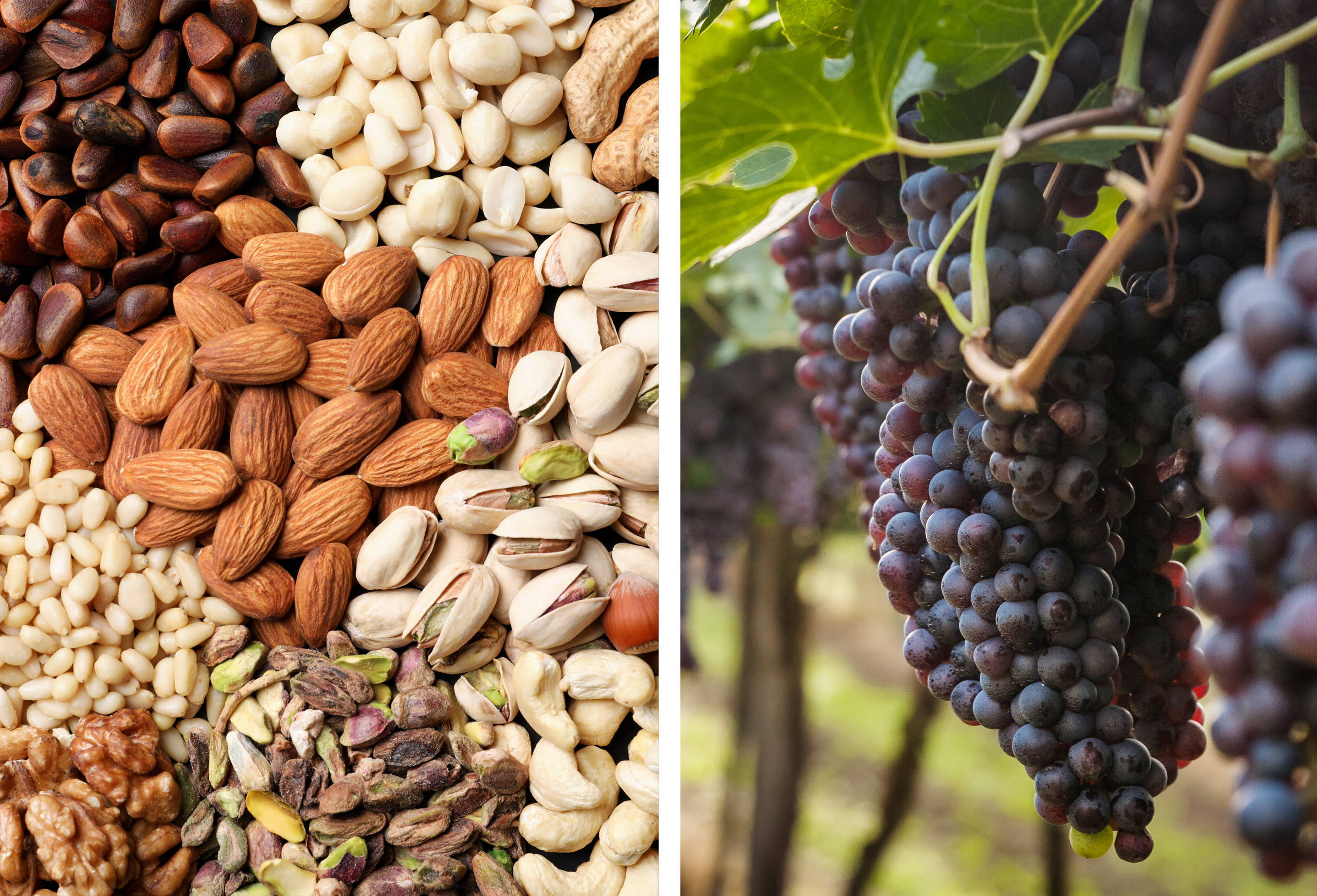 a variety of nuts and bundle of red grapes