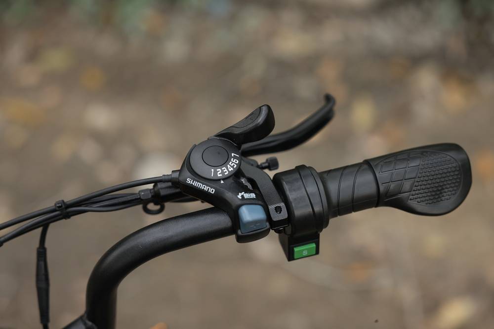 HappyRun adult electric bike throttle