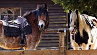 home wr qdnqpqcluozjouywlxnxuomuxlgqsg