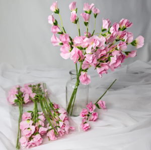 Pink Sweet Pea - Realistic Artificial Flowers