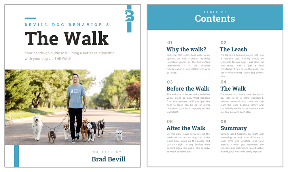 Dog Behavior Training Classes & Cost Bevill Dog Behavior