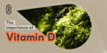The importance of vitamin d header