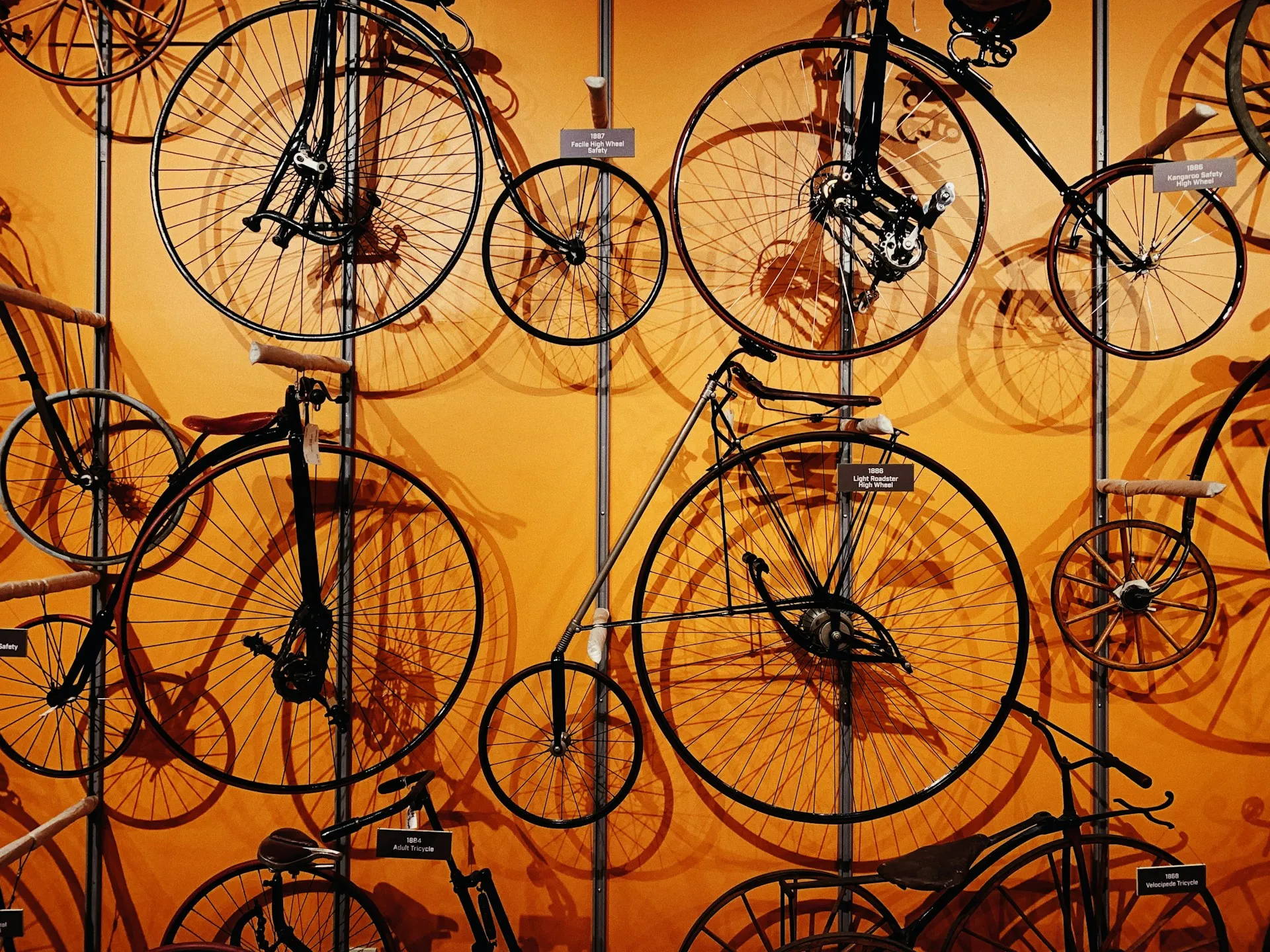 The first cycle sale