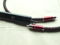 Audioquest Eagle Eye with 72V DBS RCA Digital Cable 1m 2