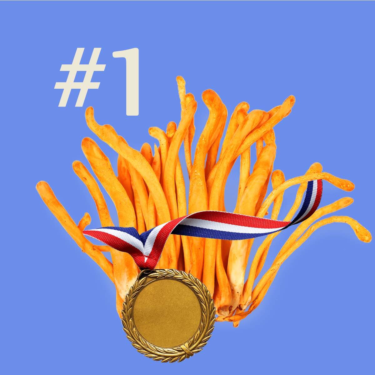 cordyceps gummies