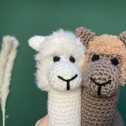Alpaca