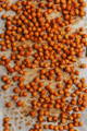 Roasted chickpeas on parchment paper that are orangish in color
