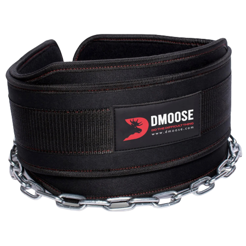 Dip Belt With Chain for Weightlifting