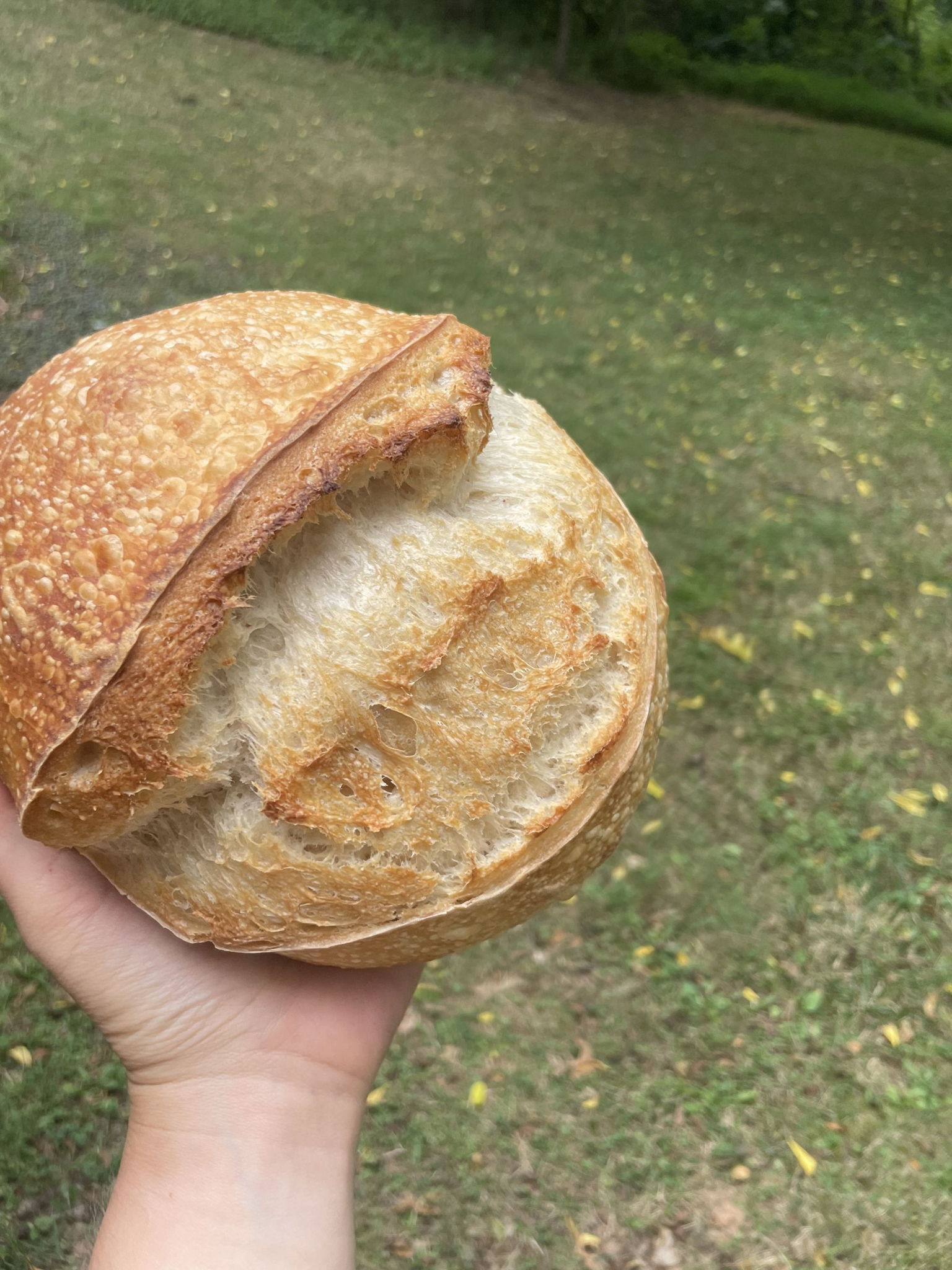 Fates Bread Company — photo from hotplate.com