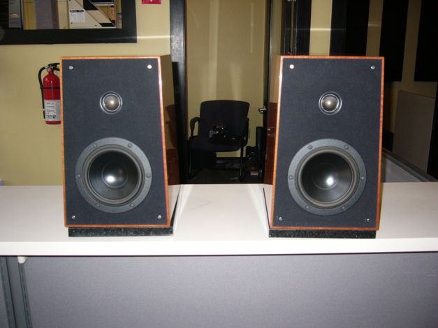 Verity Audio Parsifal Encore Monitor