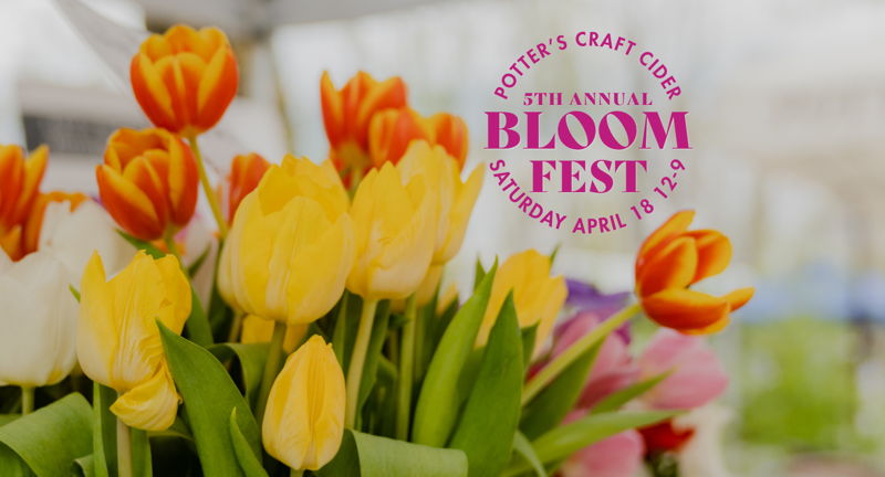 5th Annual Bloom Fest