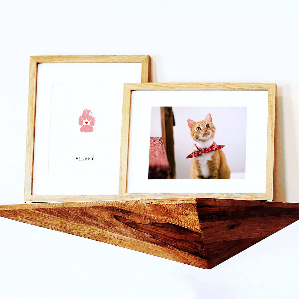 cats paw print in frame on shelf with framed picutre of cat