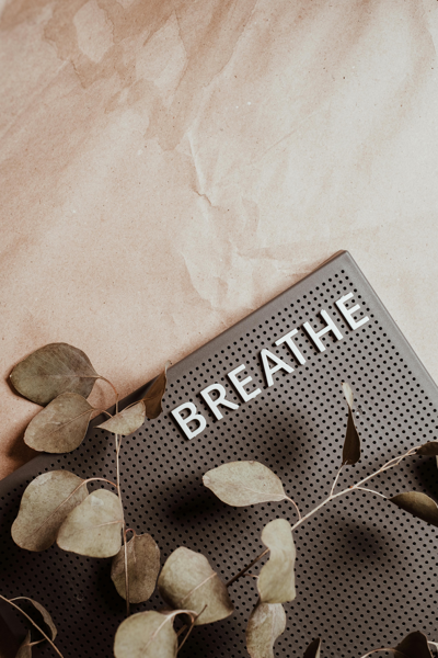 FREE: The Therapist’s Reset: Breathwork & Desk Yoga