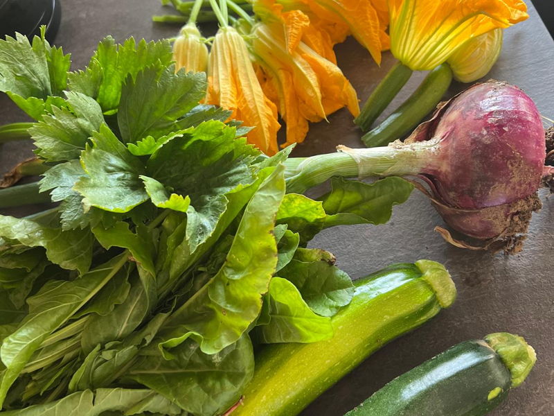 Cooking classes Turate: A culinary adventure: homemade tagliatelle and ravioli