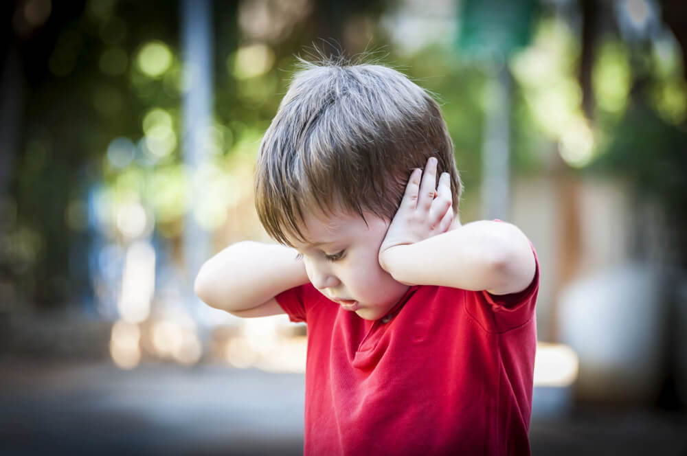autistic behaviour aggression