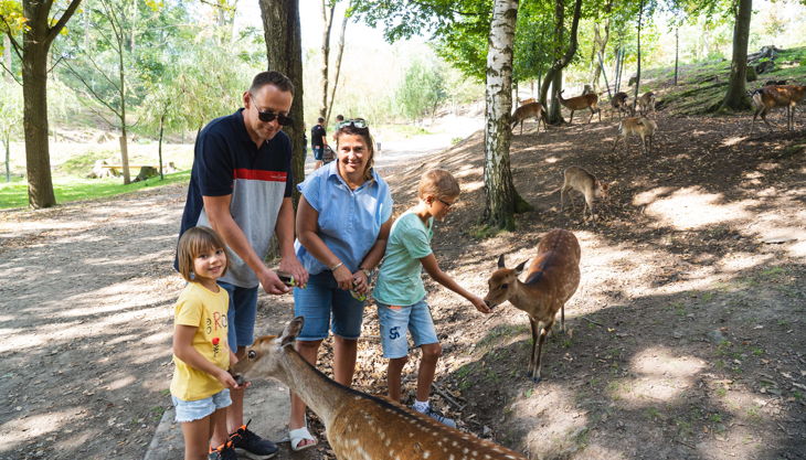 sonnenlandpark sikahirsche füttern fotograf patrick eichler