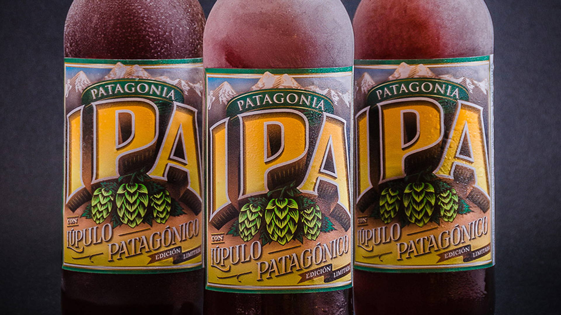 Featured image for PATAGONIA® IPA