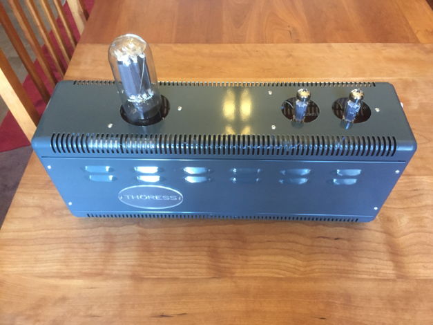 Thoress 845  mono amplifiers