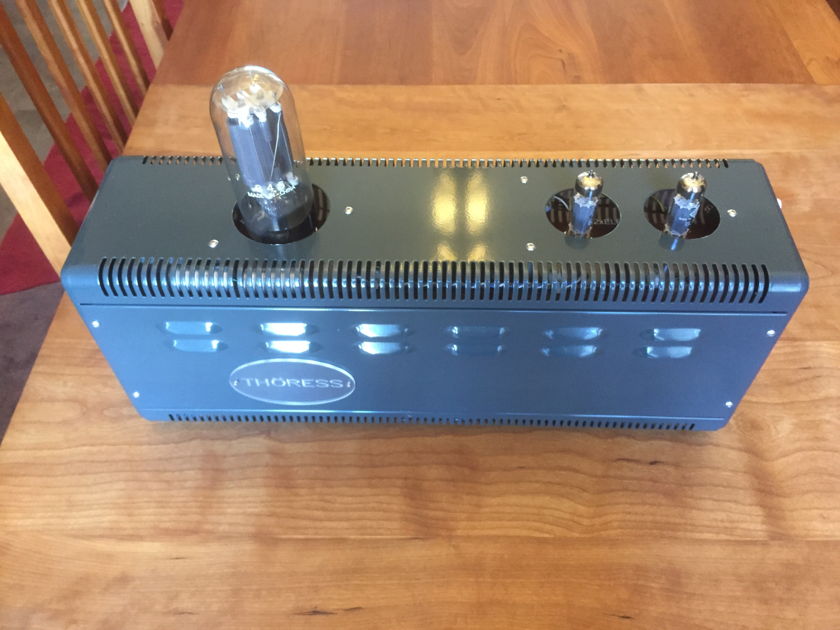 Thoress 845  mono amplifiers