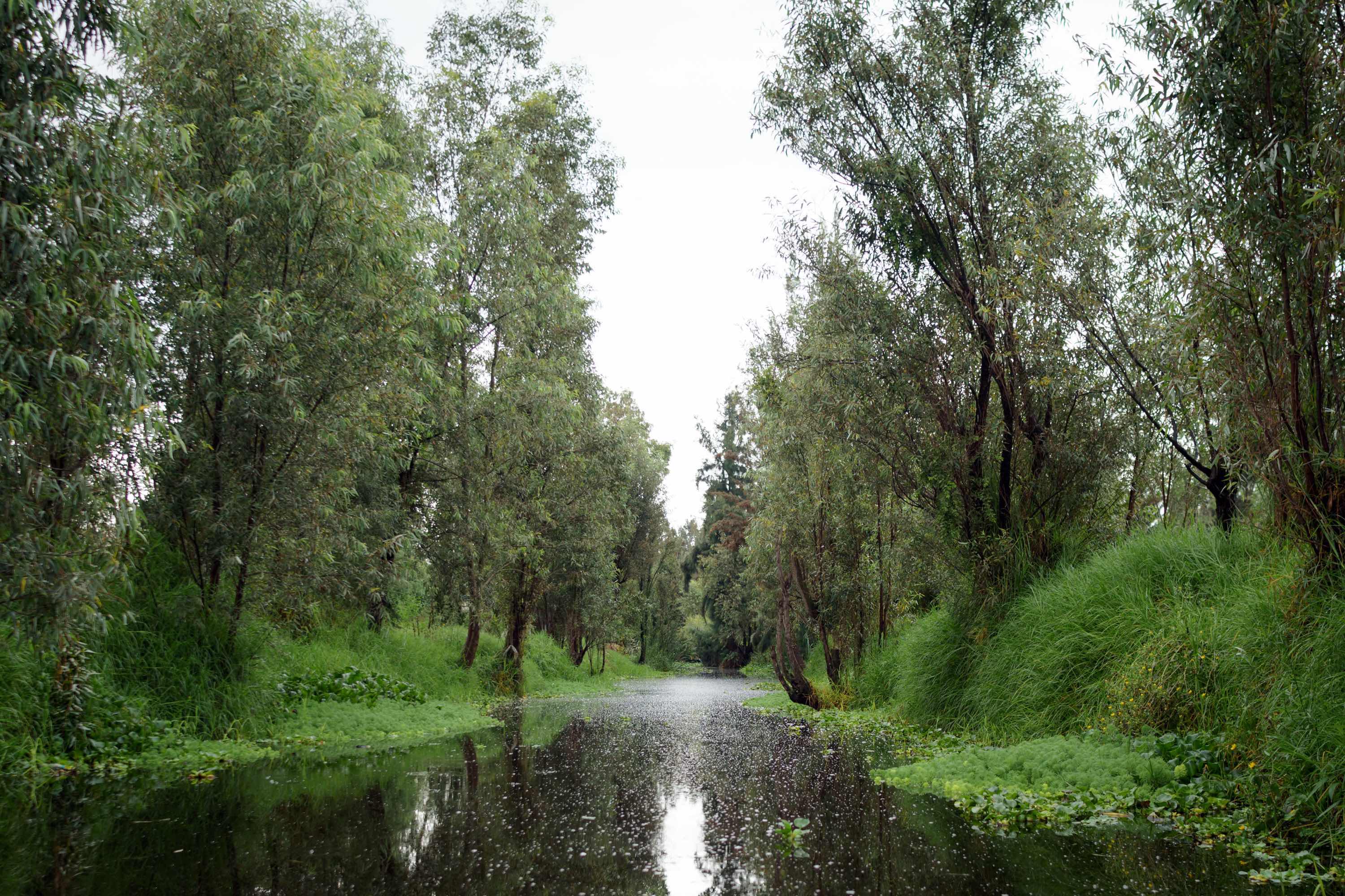 The canals in Xochimilco, Mexico